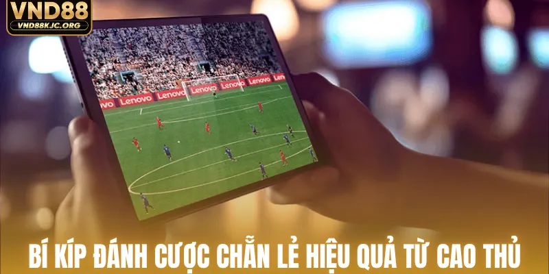 Bí kíp đánh cược chẵn lẻ hiệu quả từ cao thủ