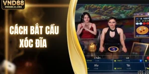 Cách Bắt Cầu Xóc Đĩa - Công Thức Vàng Ôm Trọn Lộc To