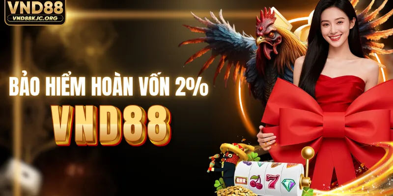 Chính sách bảo hiểm vốn 2% cực hot tại VND88