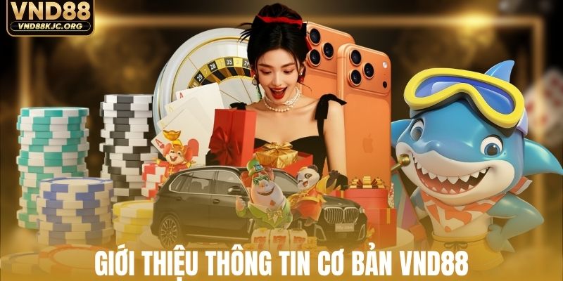 Giới thiệu các thông tin cơ bản về VND88