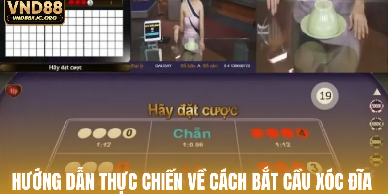 Cách Bắt Cầu Xóc Đĩa - Công Thức Vàng Ôm Trọn Lộc To 2 Hướng dẫn thực chiến về cách bắt cầu xóc đĩa