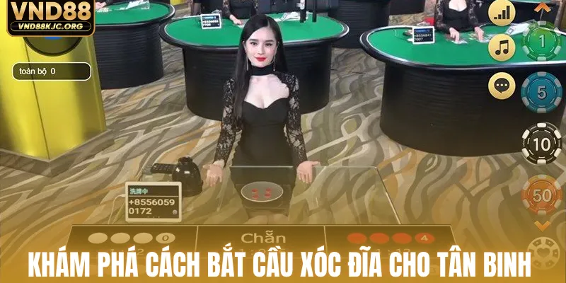 Cách Bắt Cầu Xóc Đĩa - Công Thức Vàng Ôm Trọn Lộc To 1 Khám phá cách bắt cầu xóc đĩa cho tân binh