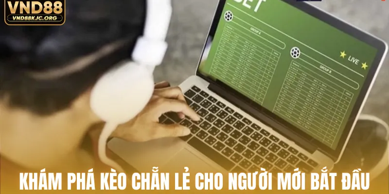 Khám phá kèo chẵn lẻ cho người mới bắt đầu