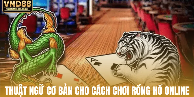 Thuật ngữ cơ bản cho cách chơi rồng hổ online