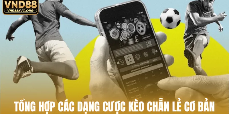 Tổng hợp các dạng cược kèo chẵn lẻ cơ bản
