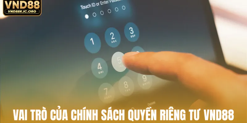 Vai trò của chính sách quyền riêng tư VND88