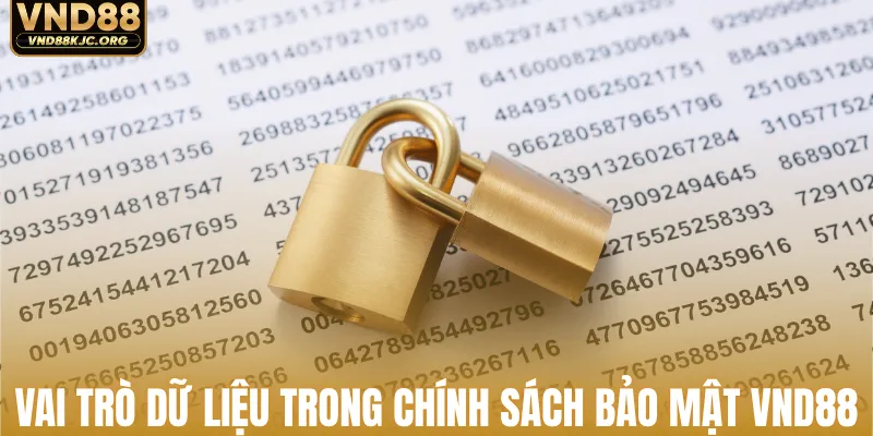 Vai trò dữ liệu trong chính sách bảo mật VND88